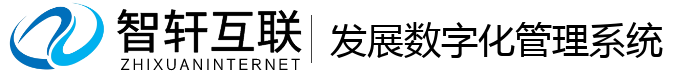 发展数字化管理系统